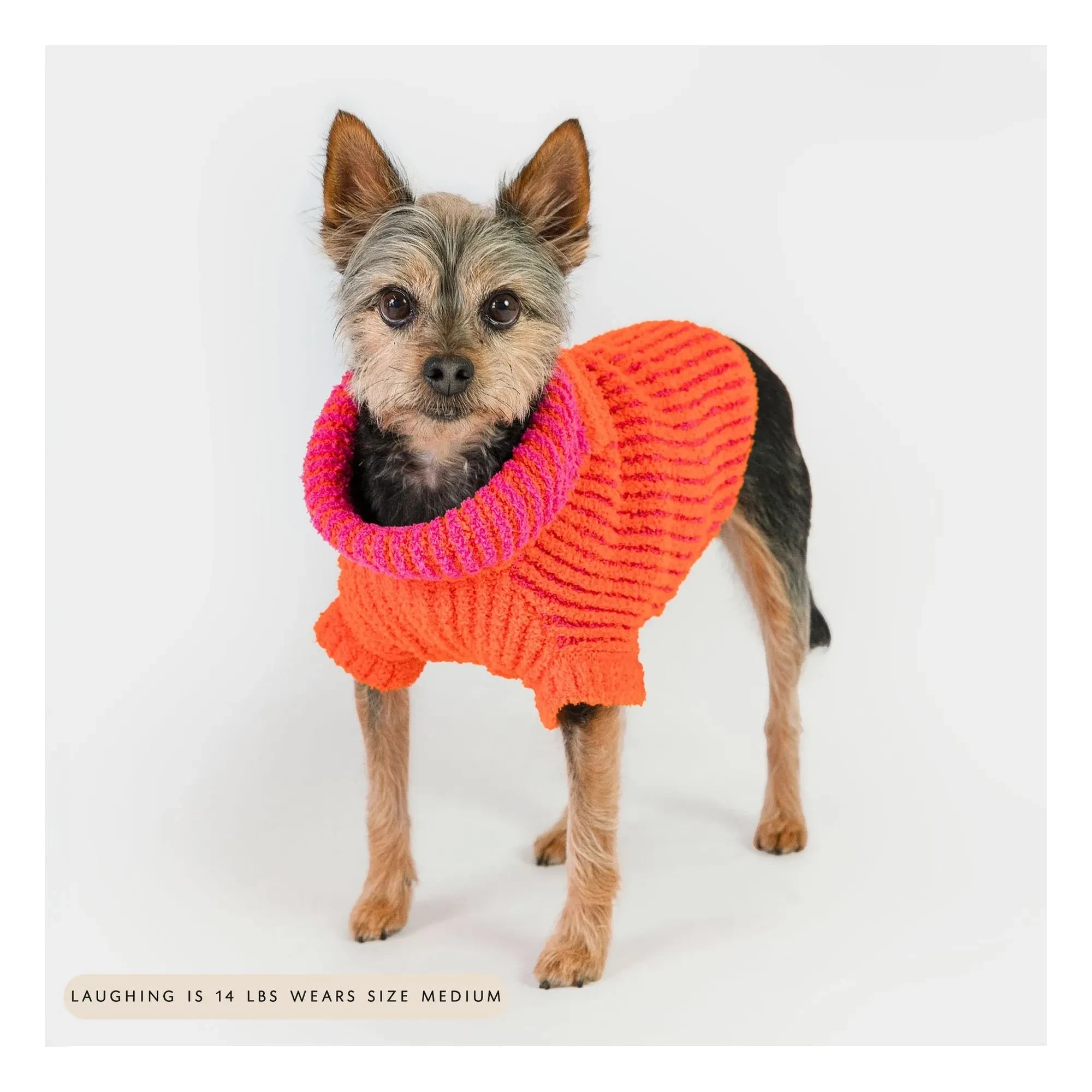 The Furry Folks - Ribbed Pullover | Orange
