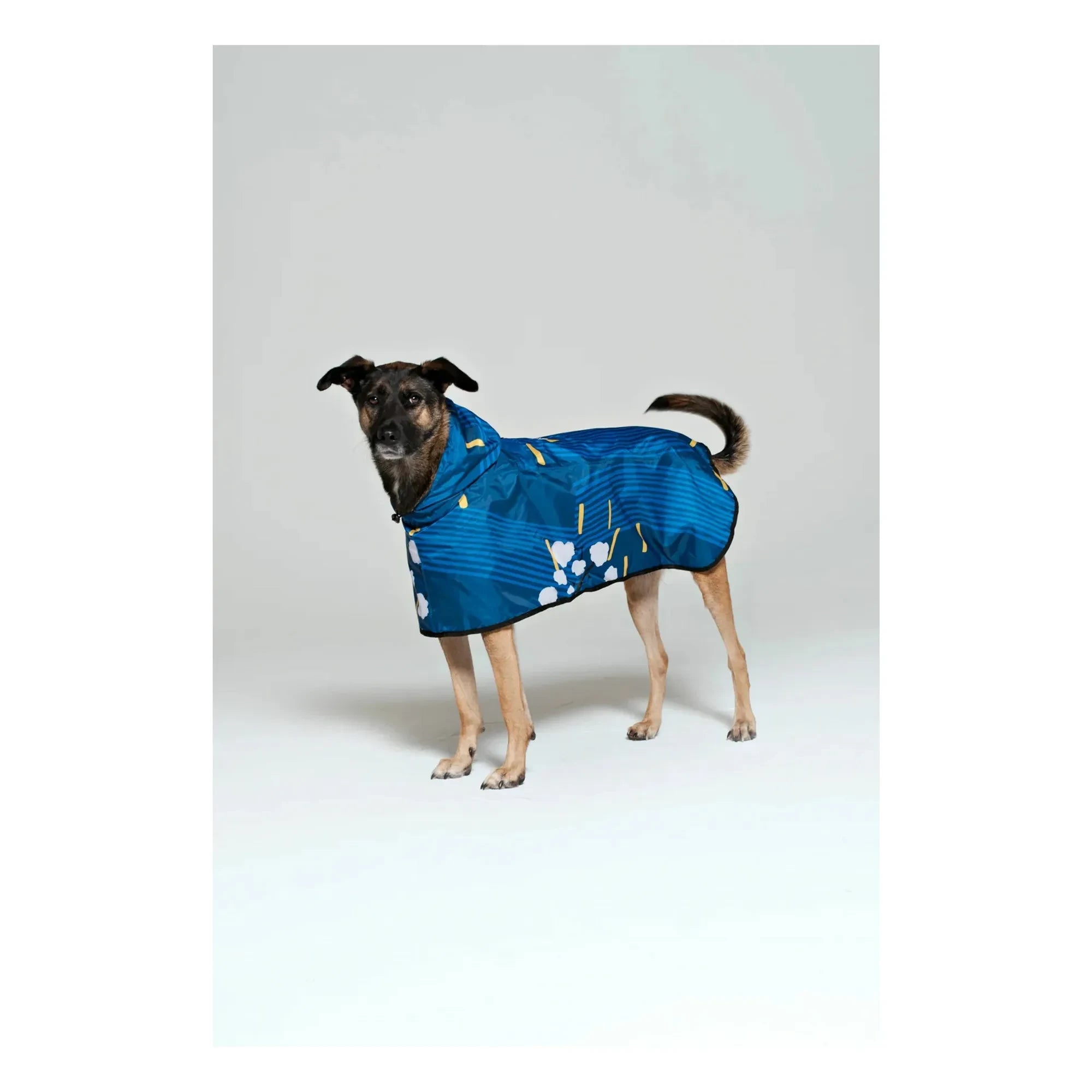Rainkiss - Japanese Blossom Waterproof Dog Raincoat | Blue