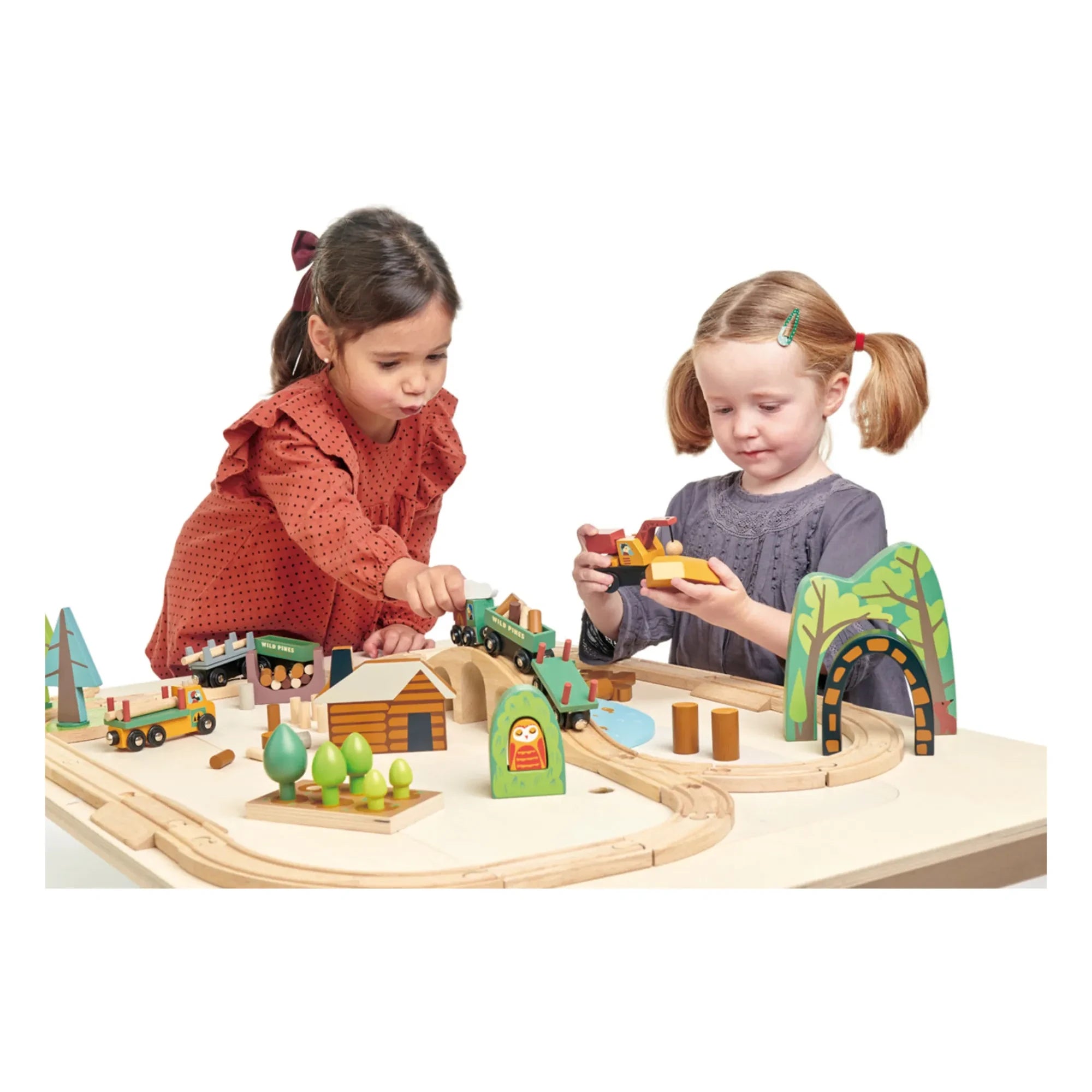 Tender Leaf Toys - Vahşi Çam Tren Seti