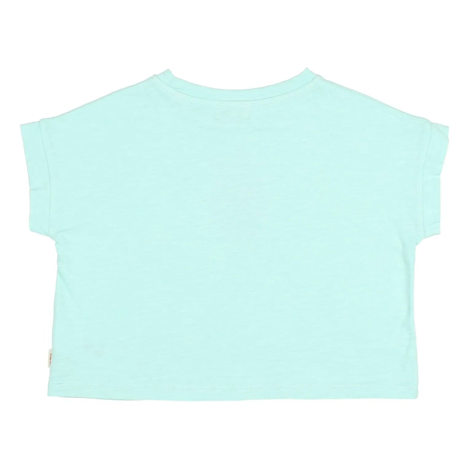 Búho - Strawberry Patterned Organic Cotton T-Shirt | Aqua