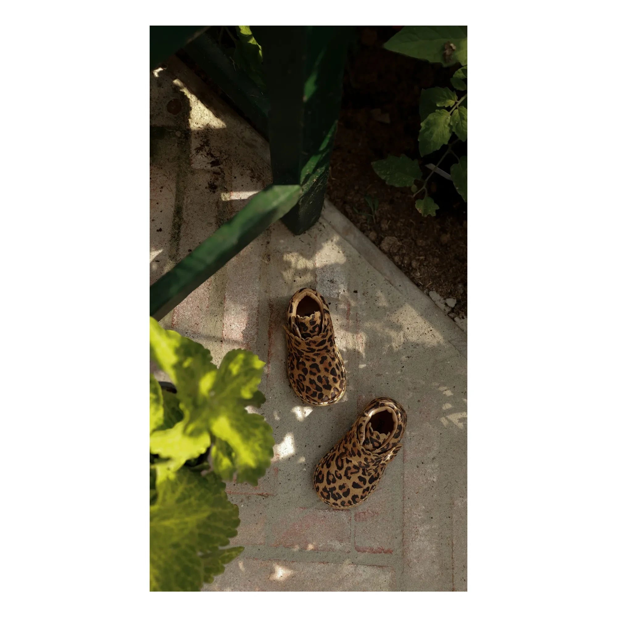 Petit Nord - Scallop Leopard Sneakers | Brown