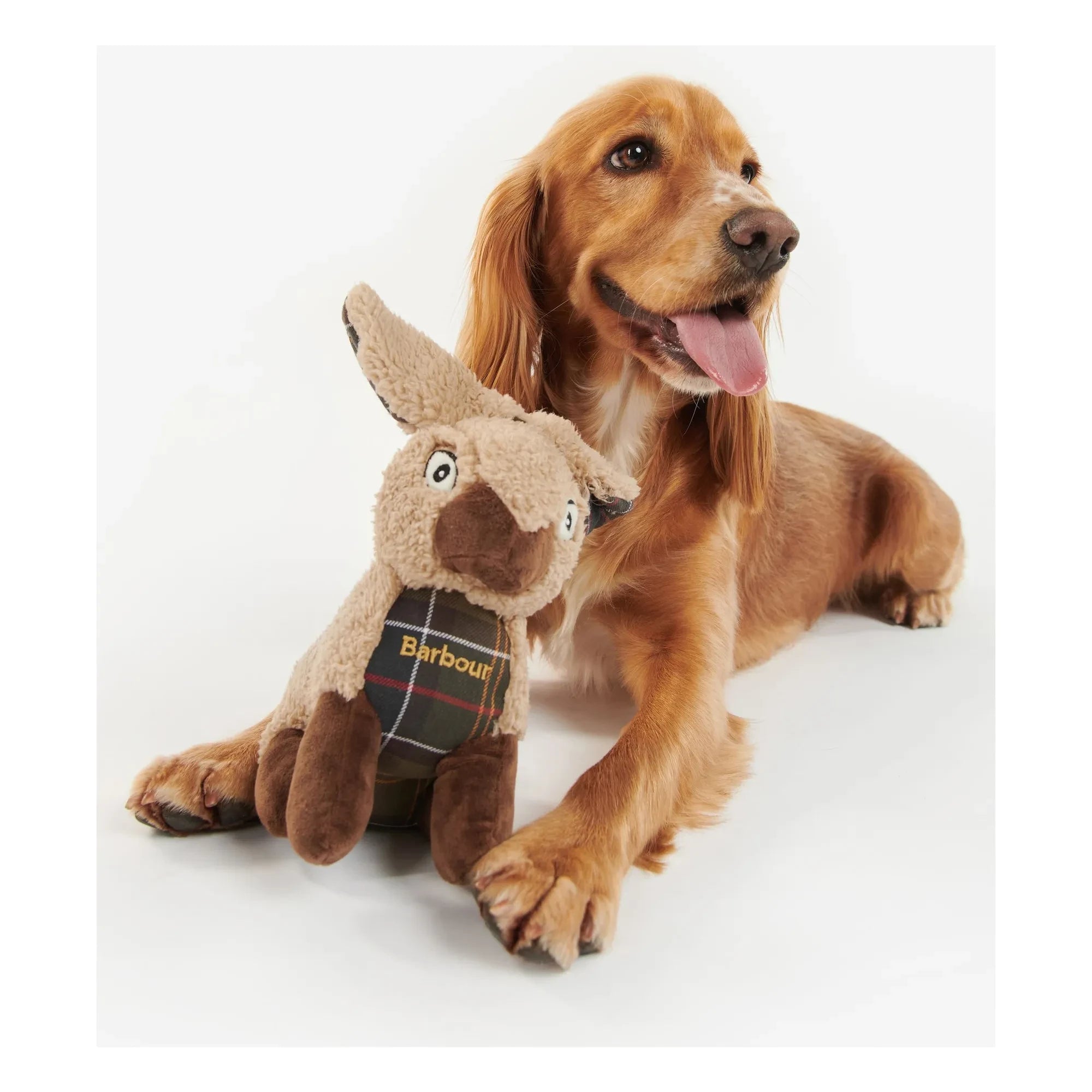 Barbour - Little Rabbit Dog Toy | Beige