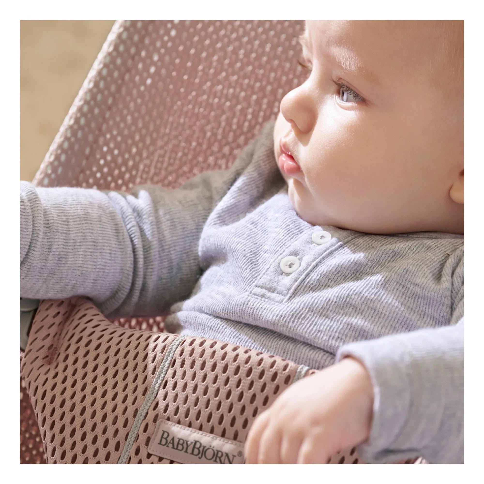 BabyBjörn - Bliss Mesh Baby Swing | Rosewood