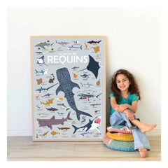 Poppik - Sharks Poster Stickers