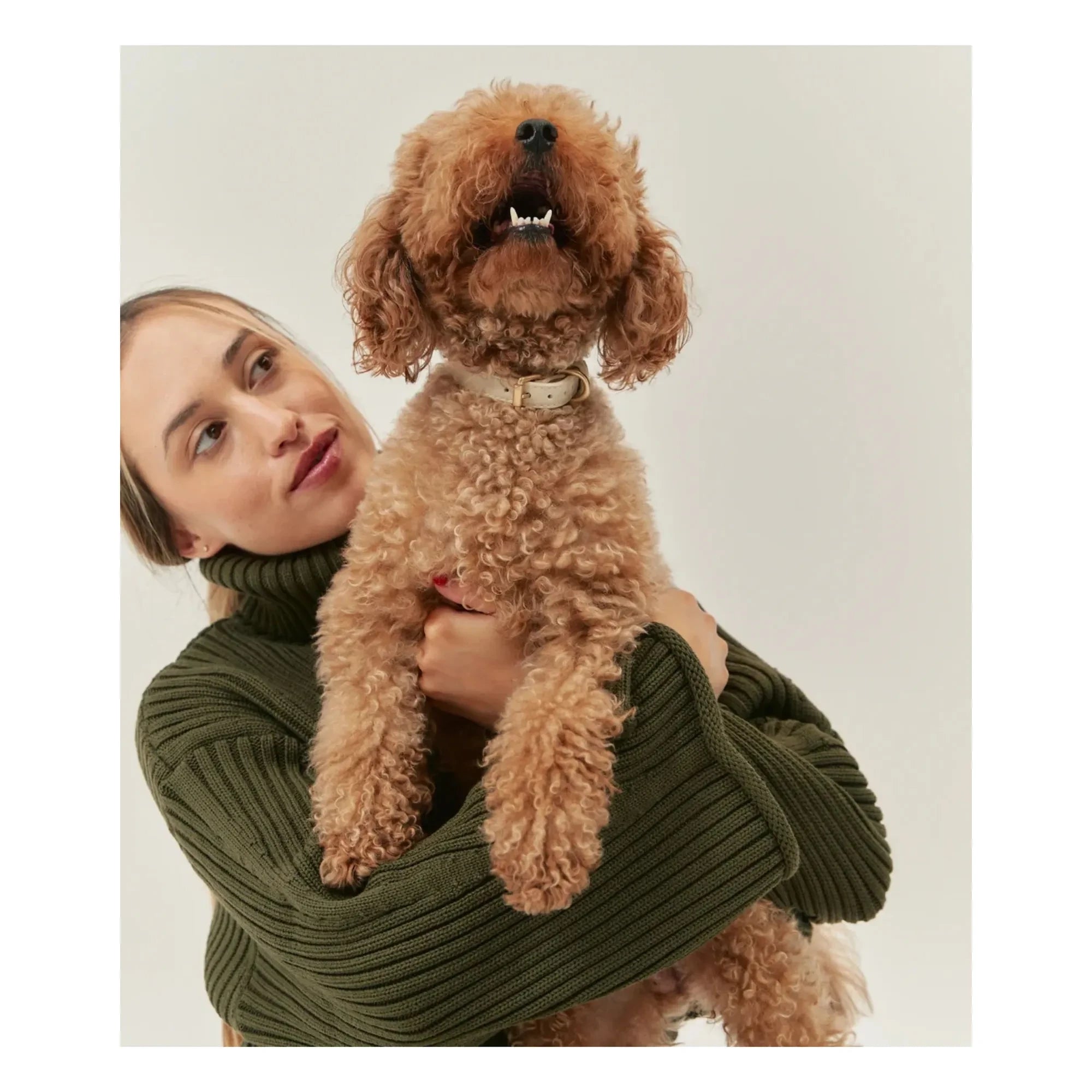 Cafide - Vegan leather dog collar | Beige