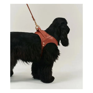 Cafide - Vegan Leather Dog Harness | Brown
