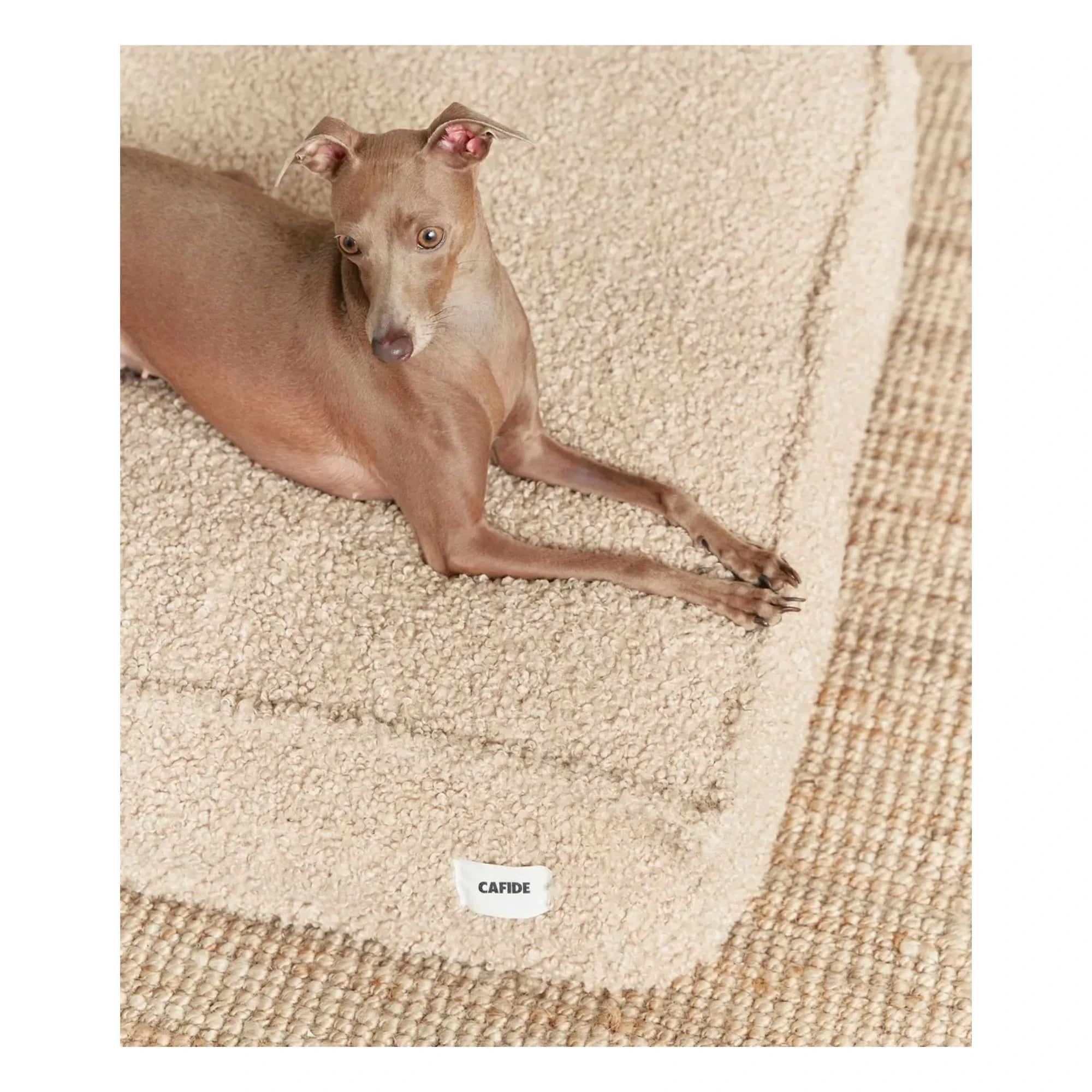 Cafide - Cuadra Buckwheat Dog Bed | Beige