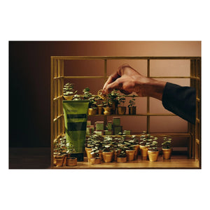 Aesop - Greenhouse Party Set