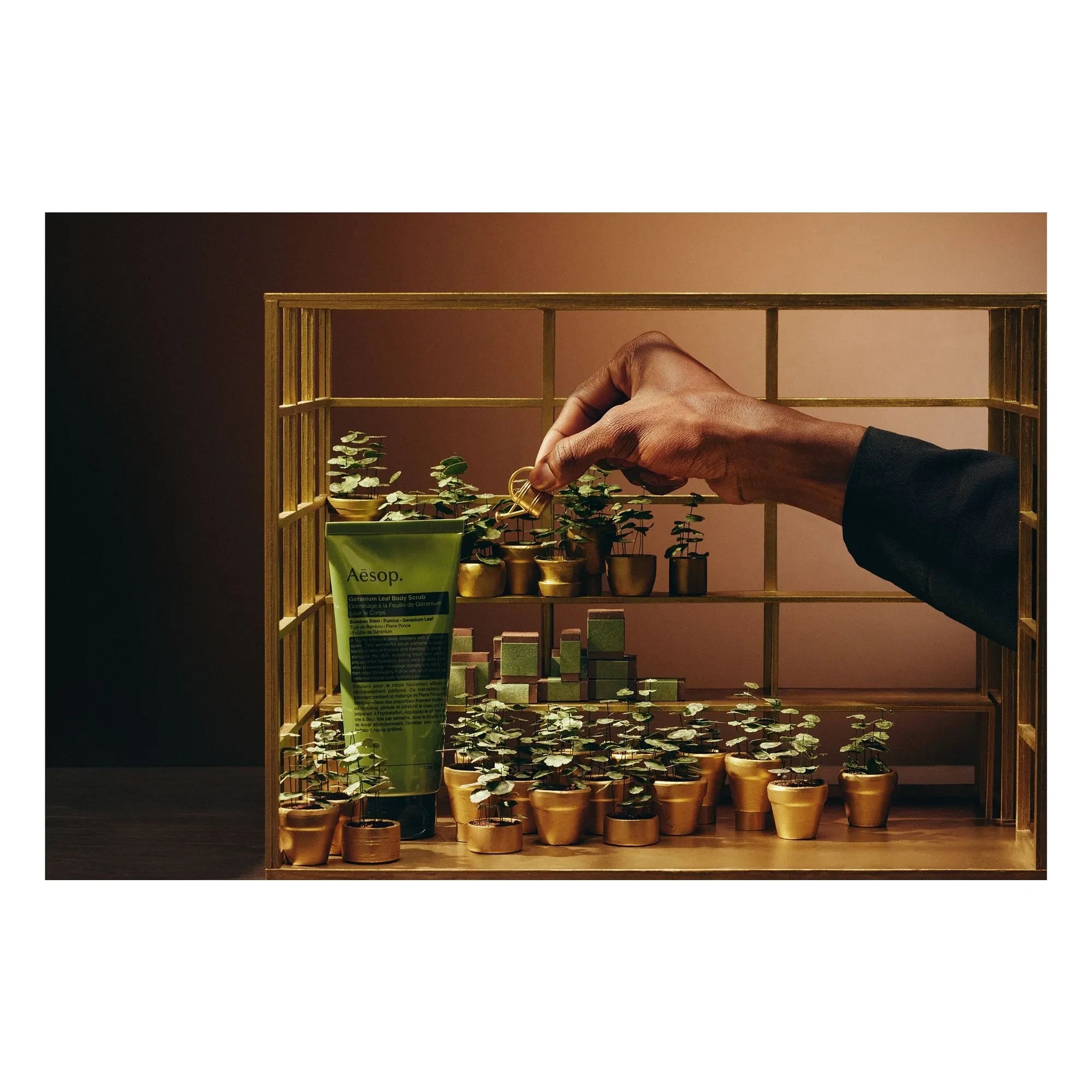 Aesop - Greenhouse Party Set