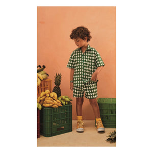 Fabula - Damier Shirt | Green