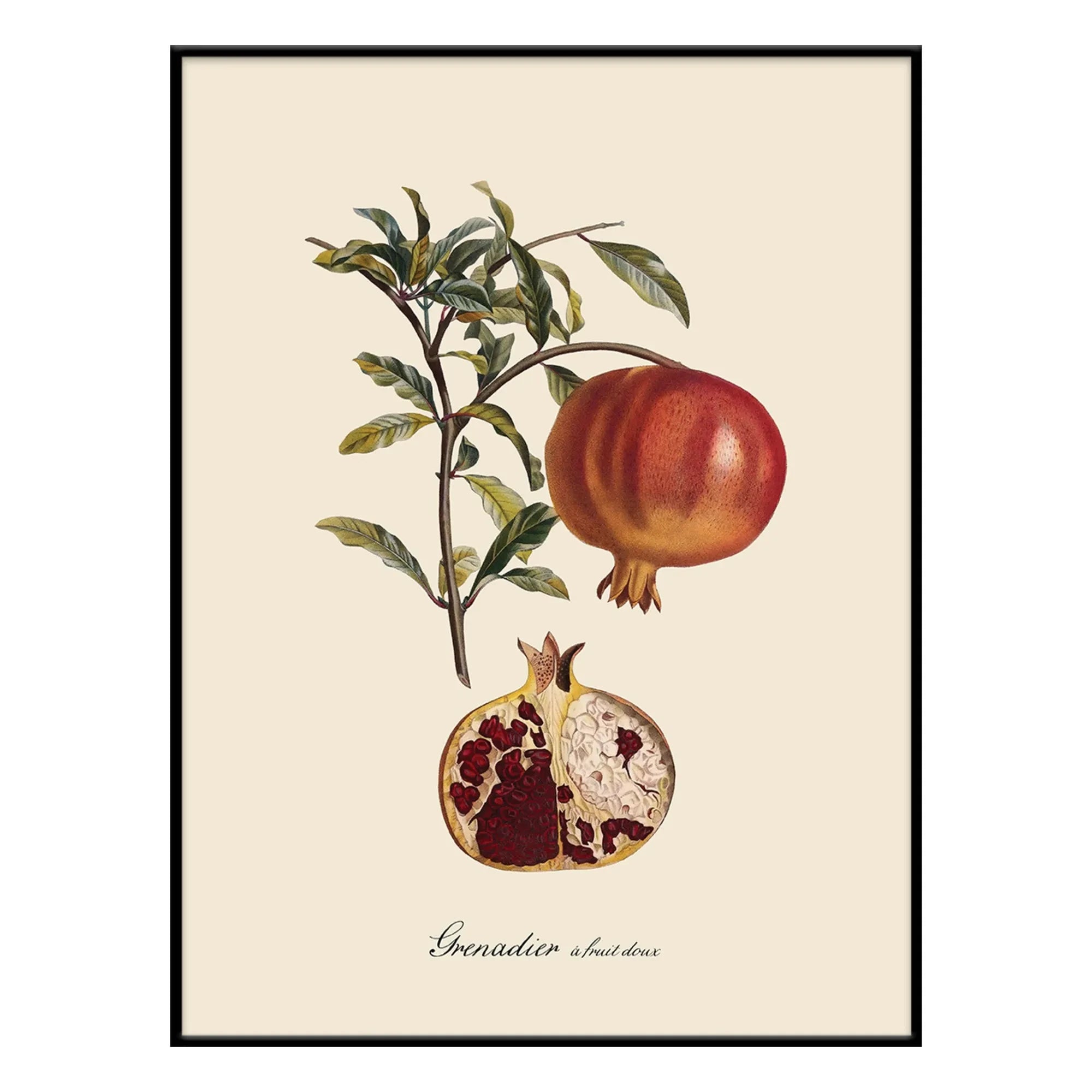 The Dybdahl Co. - Sweet Fruit Grenadier Poster