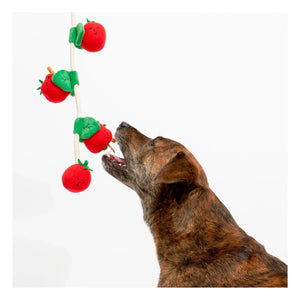 The Furry Folks - Cherry Tomato Chew Toy | Tomato Red