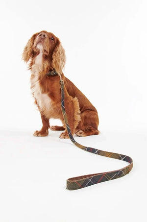 Barbour Köpek Tasması