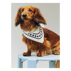 Hay - Dog Bandanas | Off-White