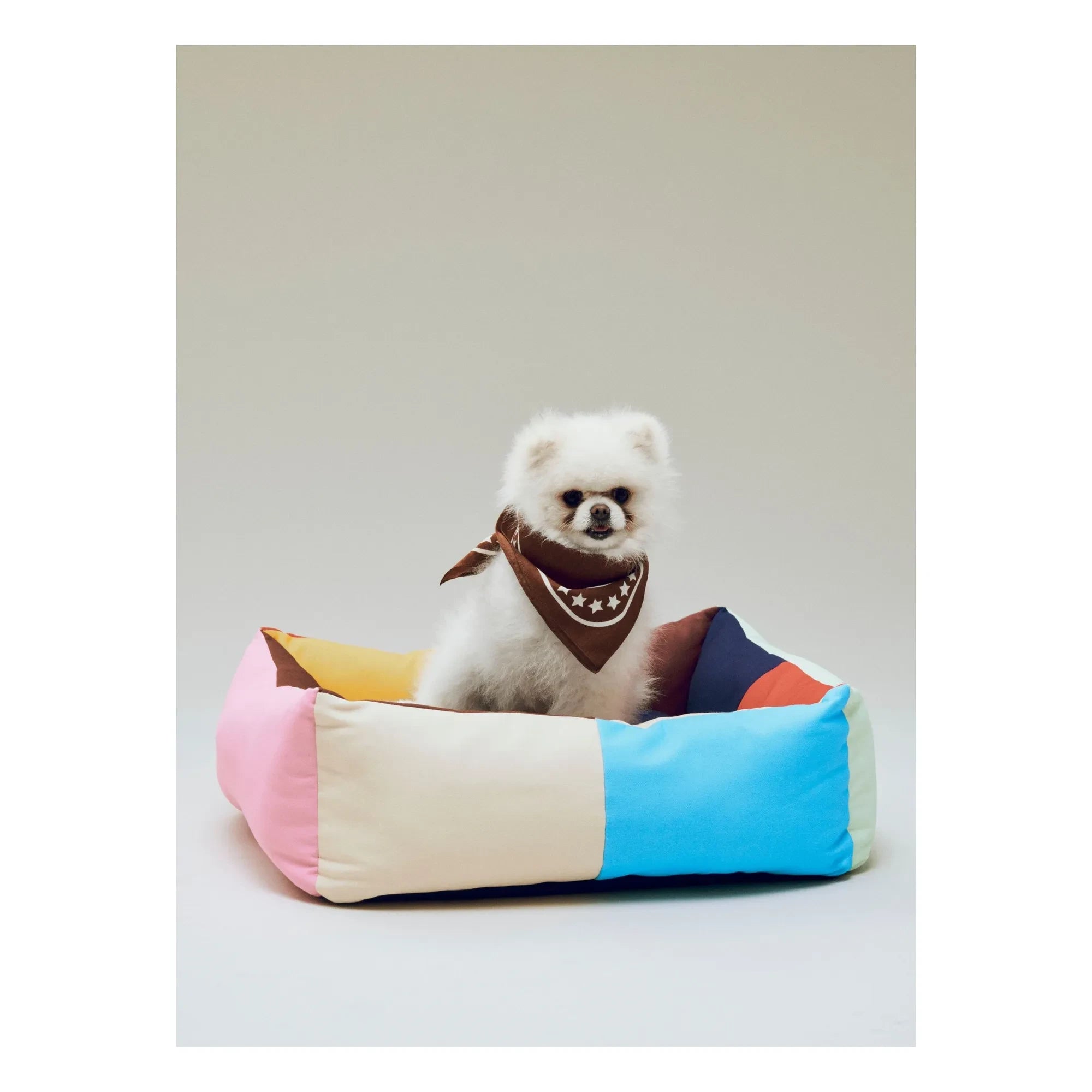 Hay - Dog Bandana | Brown