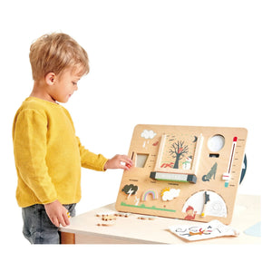 Tender Leaf Toys - Ahşap Hava Durumu İstasyonu