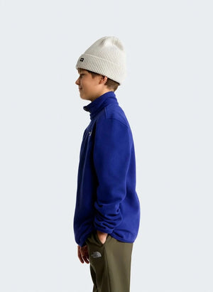 The North Face - Glacier Trucker Style Hoodie Fleece | Royal Blue