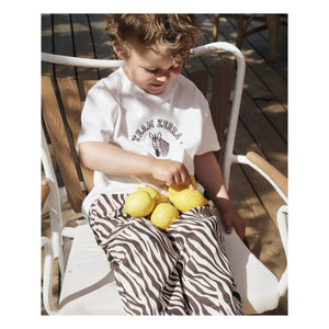 Fliink - Duna Zebra Pants | Black