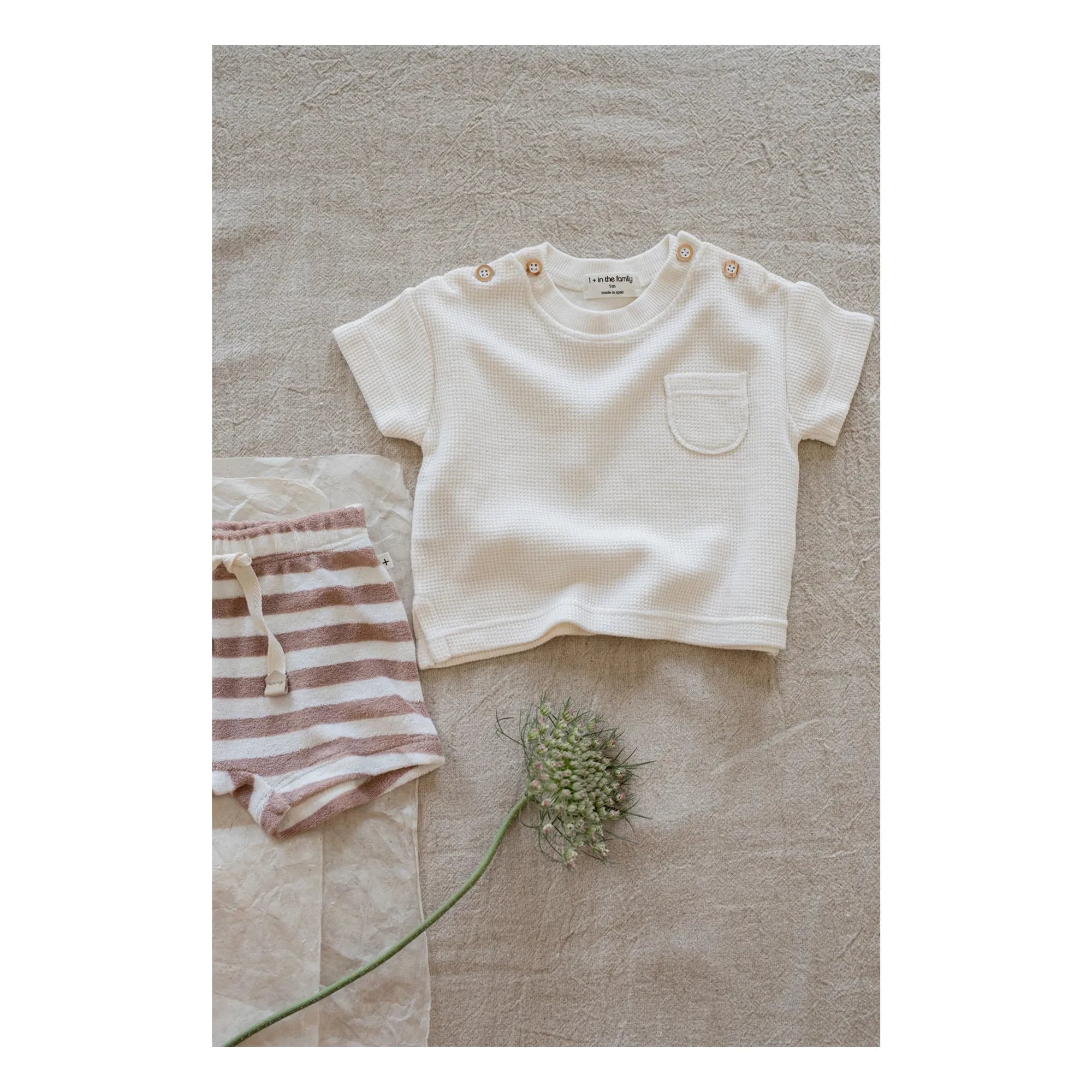 1+ in the family - Feres Çizgili Havlu Bermuda Şort | Taupe kahverengi