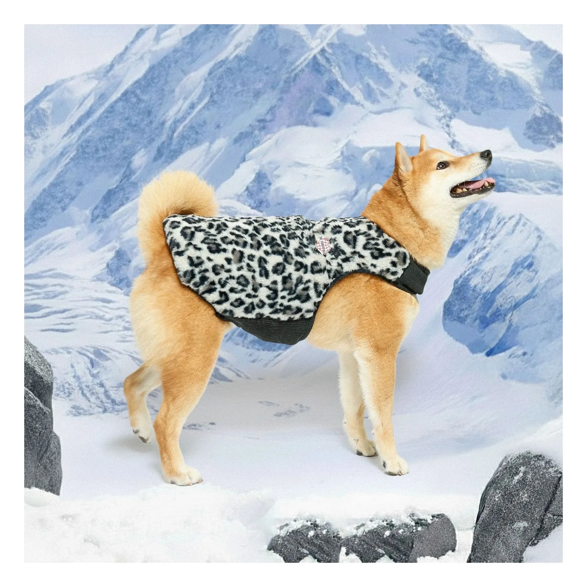The Furry Folks - Reversible Puffer Jacket | Black