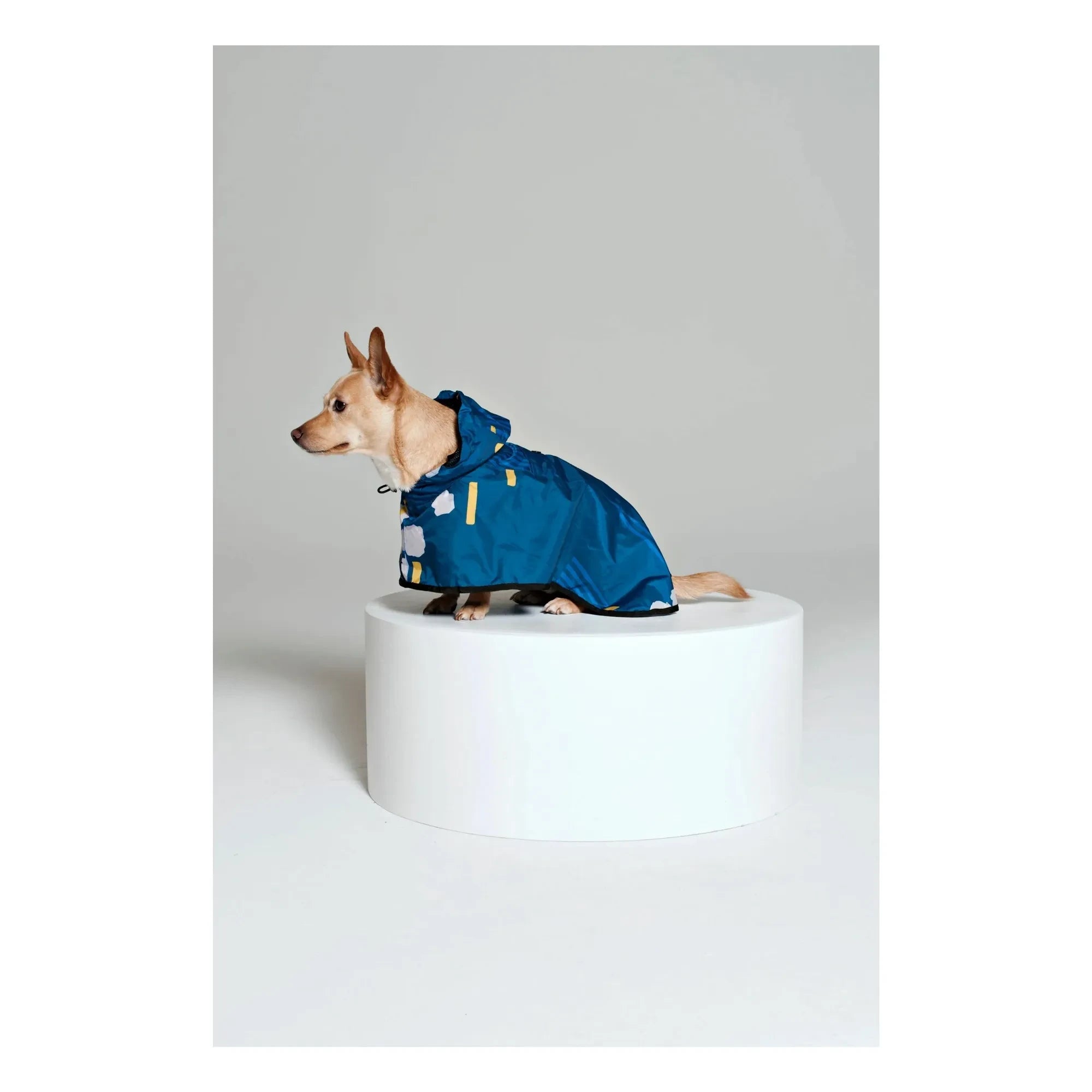 Rainkiss - Japanese Blossom Waterproof Dog Raincoat | Blue