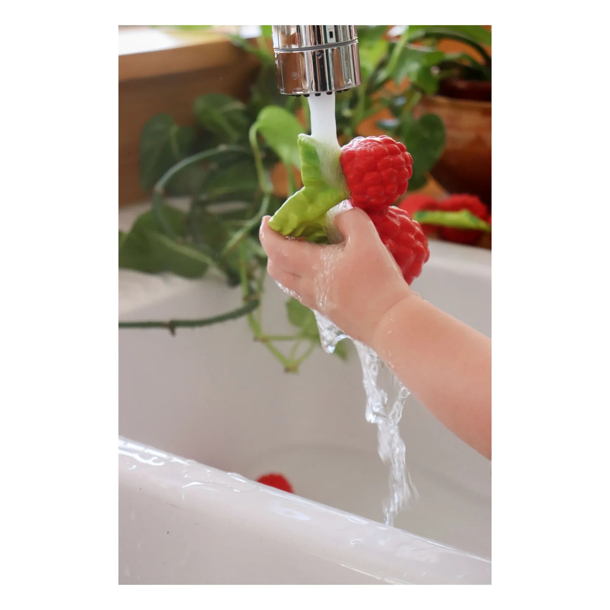 Oli & Carol - Valery Raspberry Teething Ring