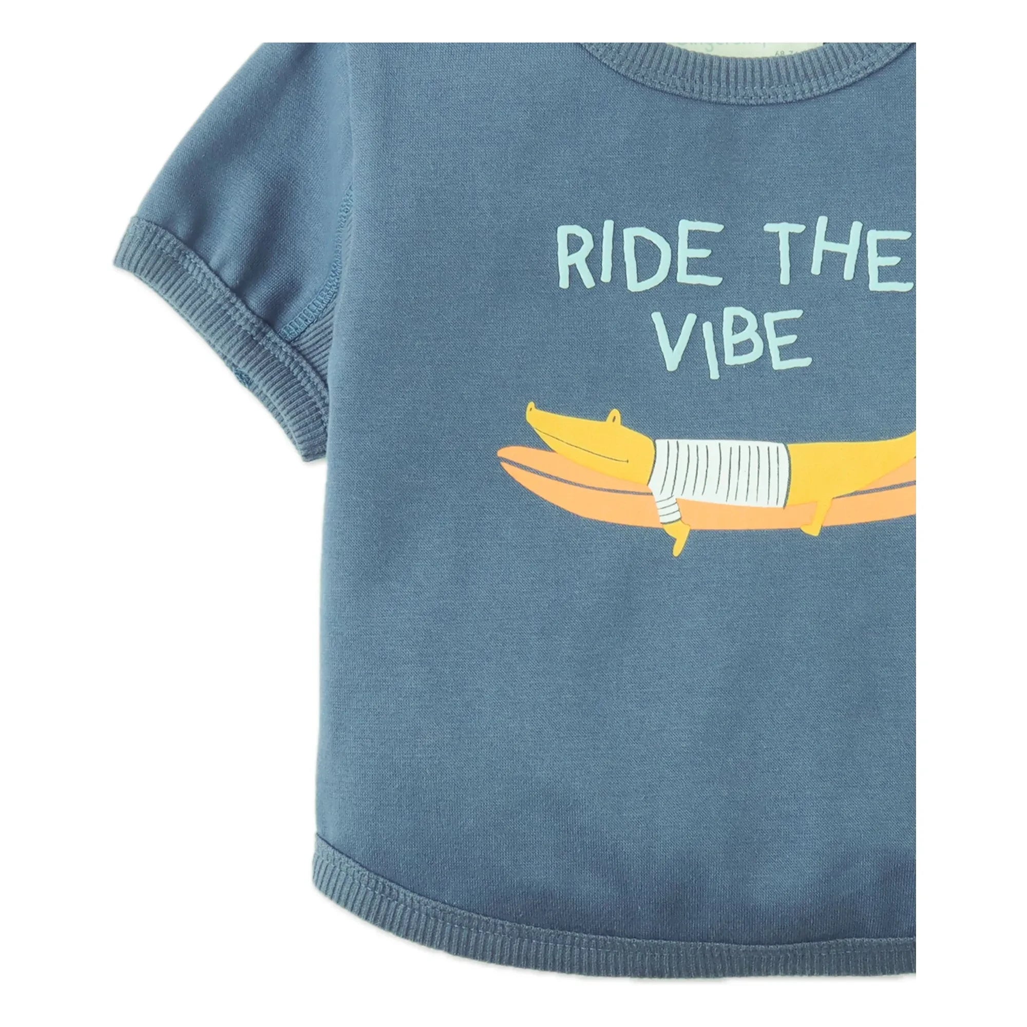 Gingersnaps - Chalice Ride The Vibe T-Shirt | Blue