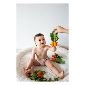 Oli & Carol - Teething Toy Cathy the Carrot
