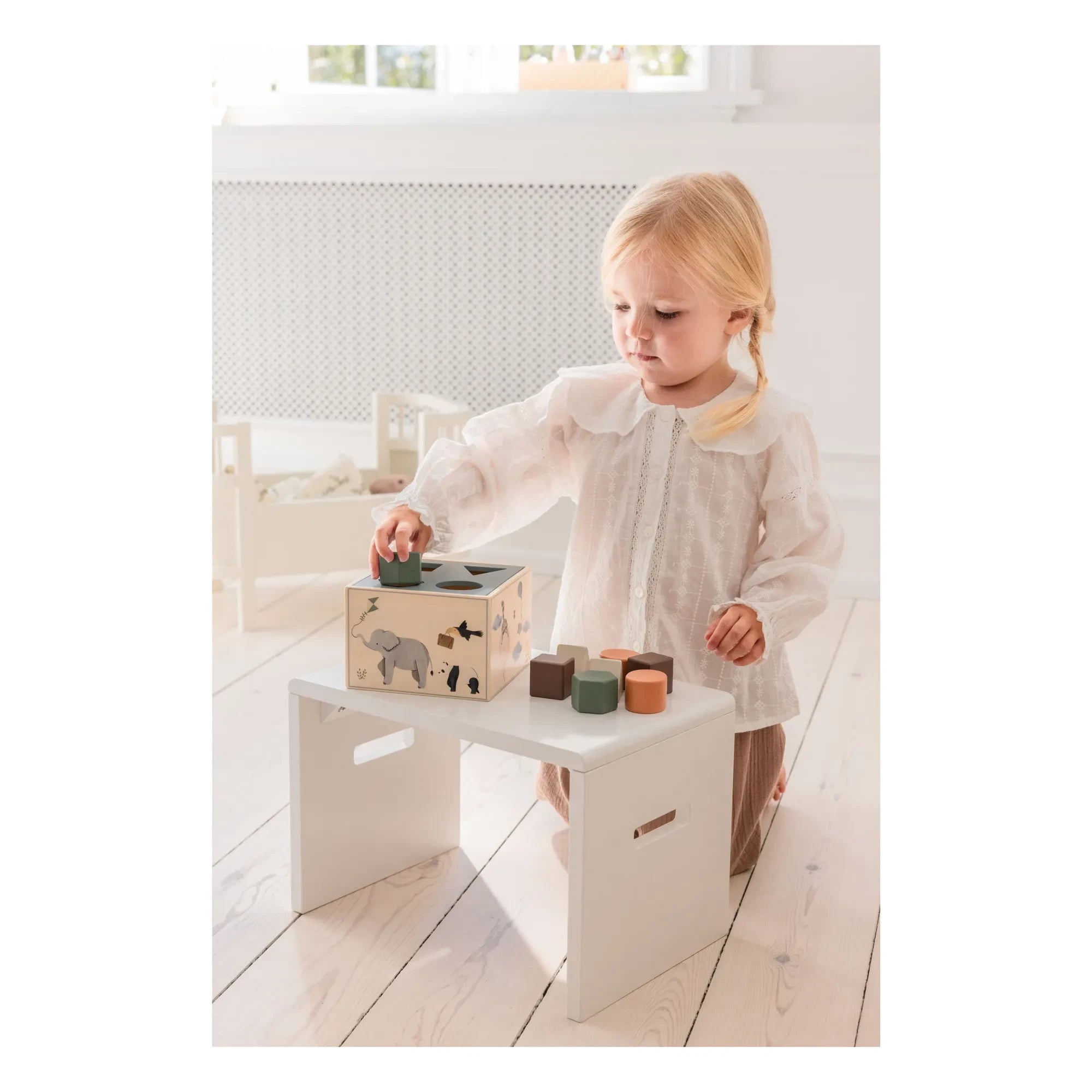 Sebra - World of Sebra Shape Box