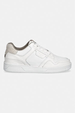 AllSaints Regan Plus Low Top Deri Sneaker