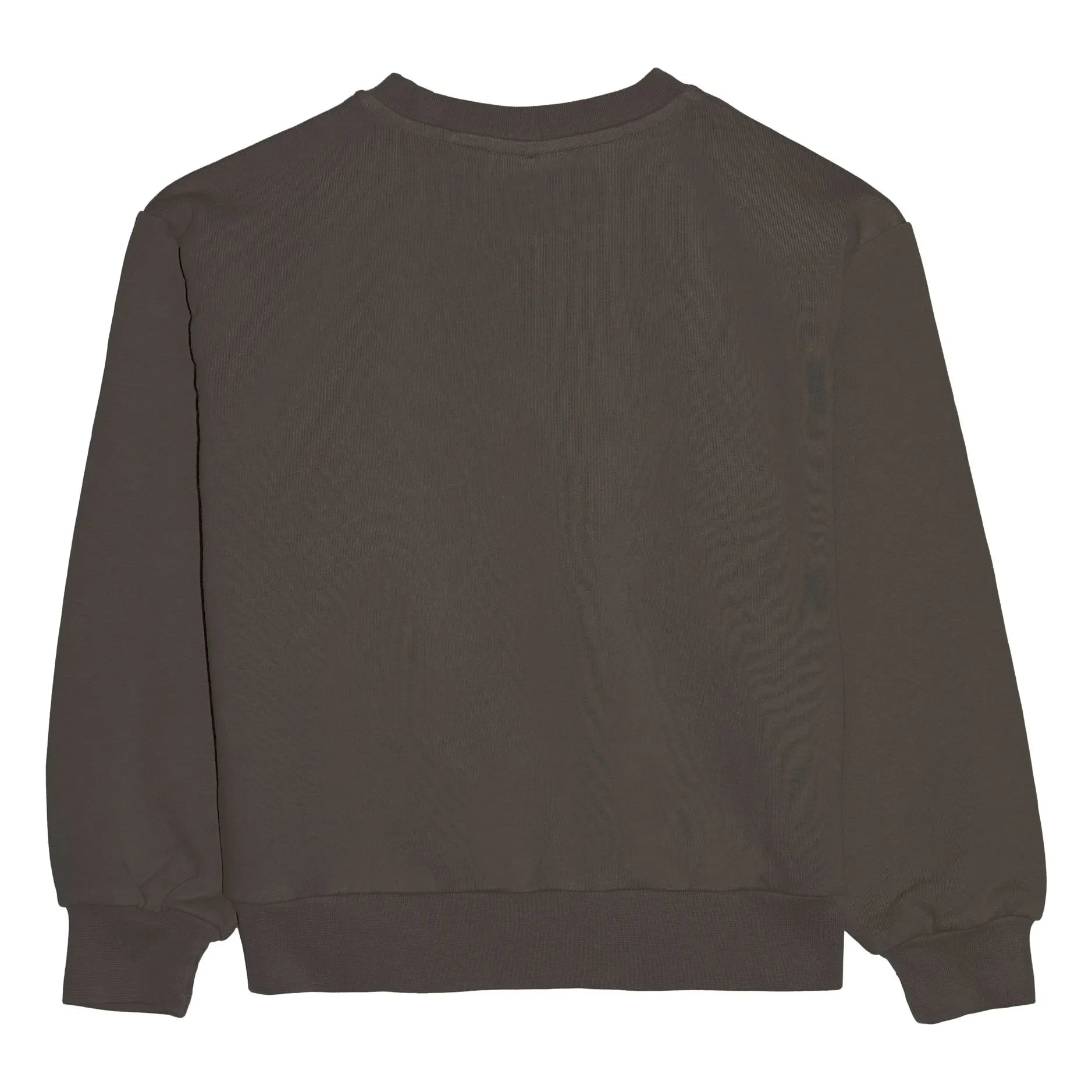 Smallable Kid - Maia organic cotton sweatshirt | Dark Gray