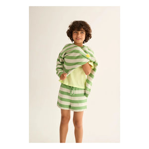 Cozmo - Orion Striped Fleece Shorts | Meadow Green