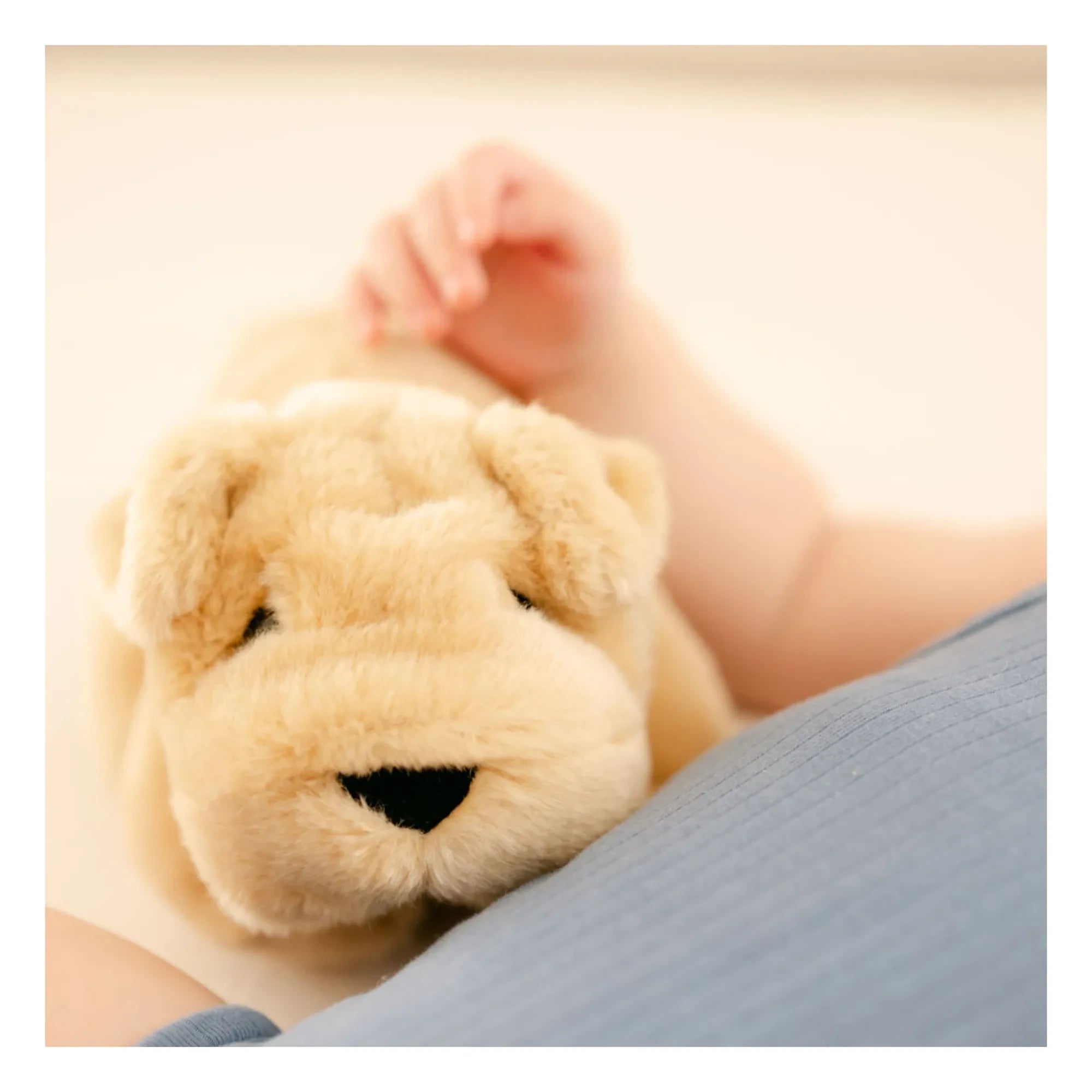 La Pelucherie - Hector 20 cm Plush Dog | Honey