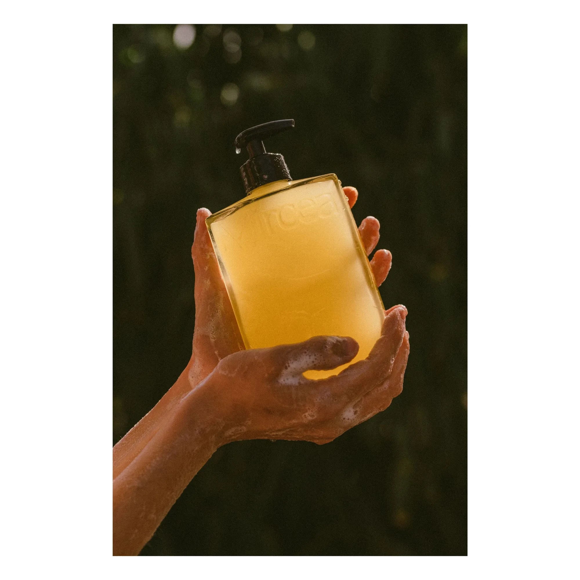 Mircea - Cedar + Eucalyptus Shower Gel - 400ml