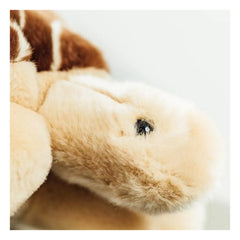 La Pelucherie - My Tortoise Rosalie Plush Toy | Brown
