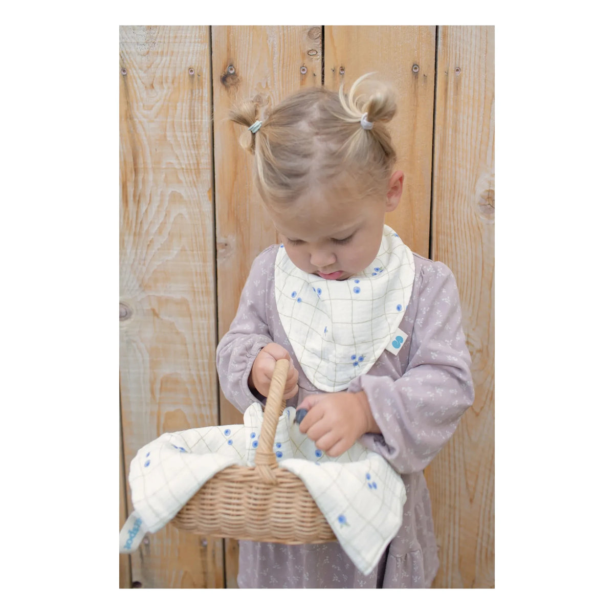 Soft Spot - Organic Cotton Blueberry Bandana Bibs - Set of 3