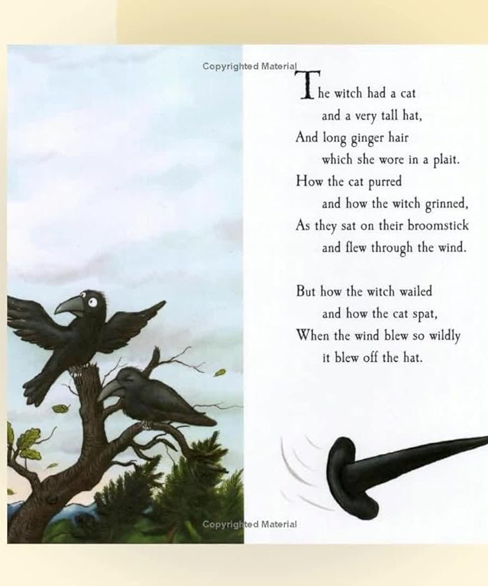 Pan Macmillan - Julia Donaldson and Axel Scheffler Room on the Broom English Story Book