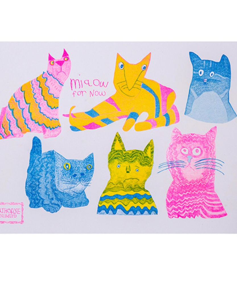 Portico Designs - Arthouse Unlimited Miaow A5 Sert Kapaklı Günlük