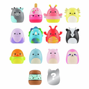 Squishmallows - Squish-a-longs 14 Figures + Ring Set + 4 Accessories Special Edition Toy