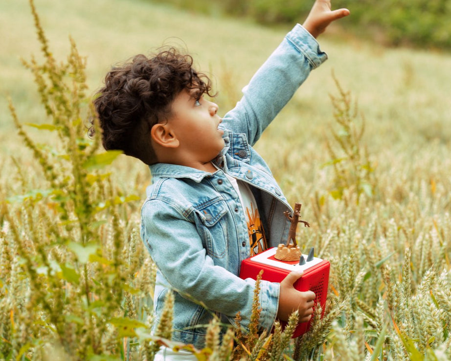 Tonies - Julia Donaldson Stick Man English Audio Figure