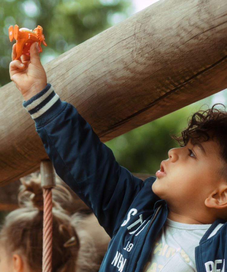 Tonies - Julia Donaldson Zog English Audio Figure